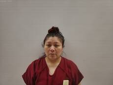 Booking photo of ANIMAS JASSO NERY YEREDIA