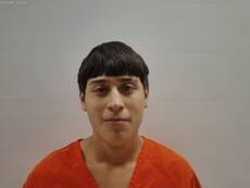Booking photo of HERRERA EDUARDO