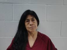 Booking photo of MARTINEZ ELENA HERRERA