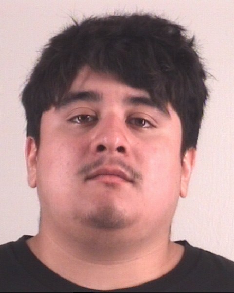 Booking photo of DAVID HERNANDEZ