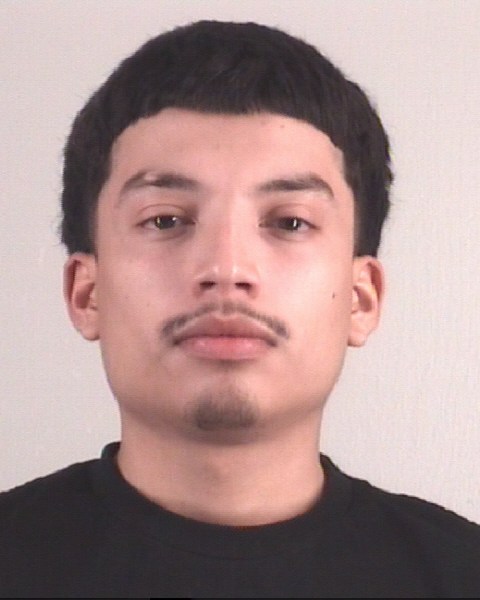 Booking photo of DIEGO ALANIS