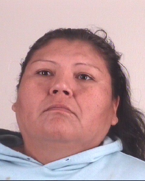 Booking photo of NAOMI YOUNGBEAR