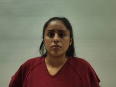 Booking photo of ARREOLA MONICA LIZETTE