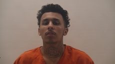 Booking photo of ESTRADA ROGELIO