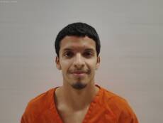Booking photo of RETA EULISES LEE