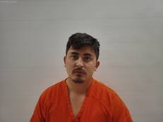 Booking photo of BRAVO SONNY FELIX