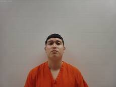 Booking photo of GUEVARA BRANDON IGNACIO