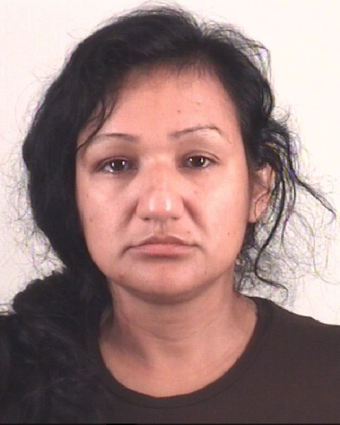 Booking photo of VANESSA ANDRADE