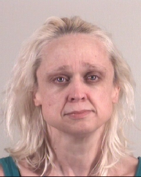 Booking photo of LISA CRITES