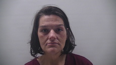 Booking photo of WADE LISA MARIE