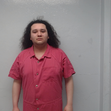 Booking photo of CASTILLO, JESSE JESUS