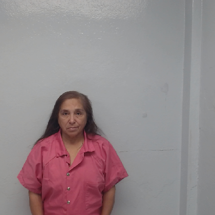 Booking photo of RODRIGUEZ, GRACIELA