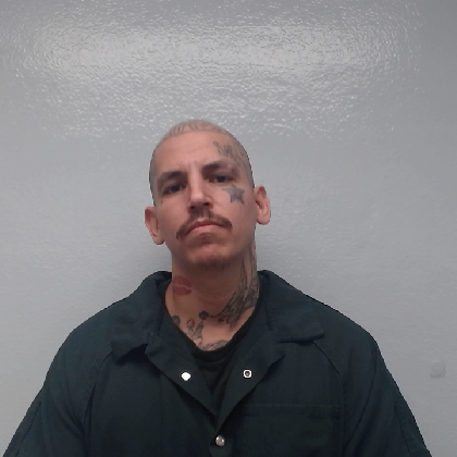 Booking photo of LUERA, TONY