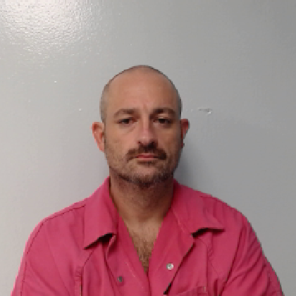 Booking photo of STEVENS, MITCHELL MAGAVIN