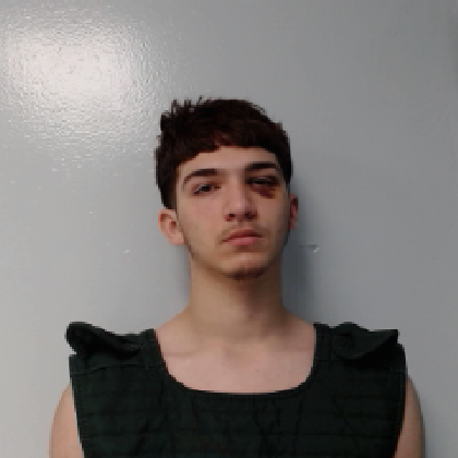 Booking photo of GARZA, LUIS JAVIER