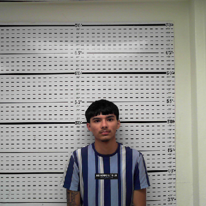 Booking photo of CANALES, NETHEN RAY