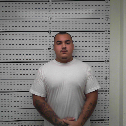 Booking photo of VILLARREAL, LUIS