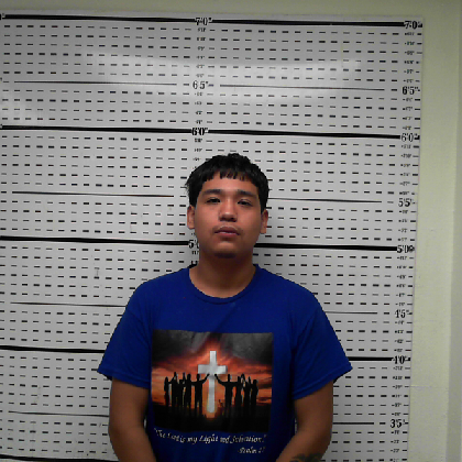 Booking photo of DIAZ-MARTINEZ, DIEGO KAEL
