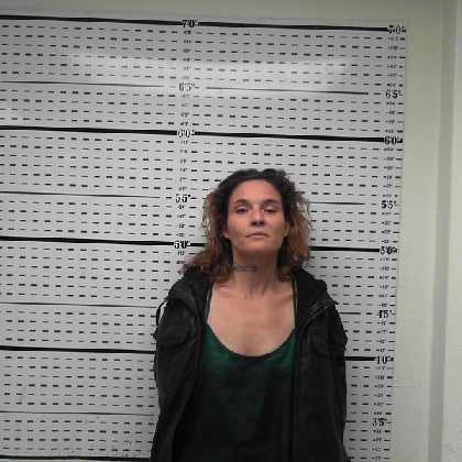 Booking photo of TICHEY, DOLORES LEVON