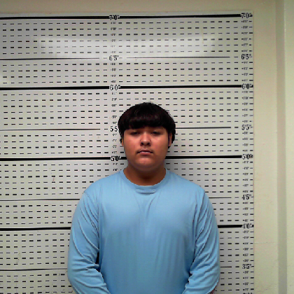 Booking photo of ALANIZ, MARIO JESUS