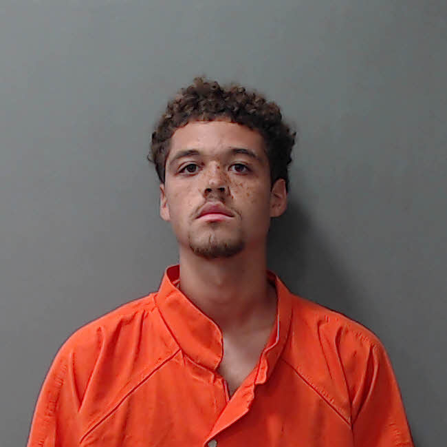 Booking photo of Howard, Aiden Laine