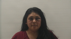 Booking photo of GUDINO PAOLA