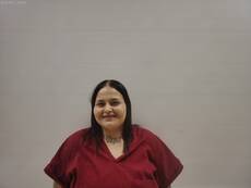 Booking photo of VASQUEZ SANDOVAL LESLY