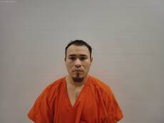 Booking photo of REYES RANGEL GIOVVANI MICHELLE