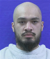 Booking photo of HENRY NGUYEN