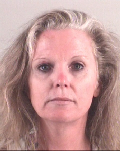 Booking photo of BRANDY HOFMEISTER
