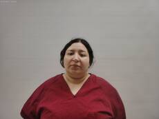 Booking photo of GUERRA JESSICA