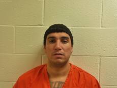 Booking photo of ROSAS SHALIN DIEGO