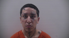 Booking photo of SALINAS ALDO