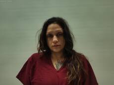Booking photo of YBARRA ROXANNE