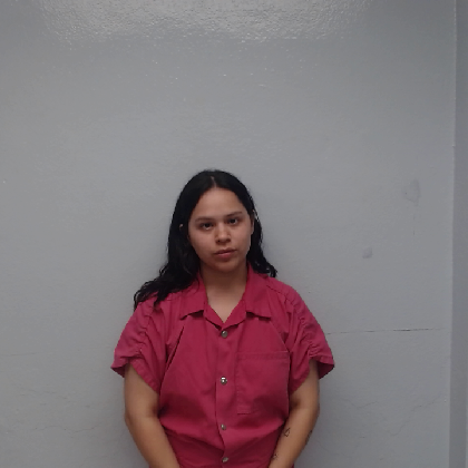 Booking photo of VILLARREAL, ABAGAIL