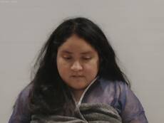 Booking photo of Gonzalez Daniela