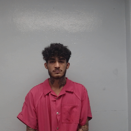 Booking photo of HINOJOSA, SERGIO DANIEL