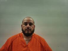 Booking photo of ANDRADE ROBERTO