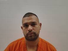 Booking photo of GARCIA TALLY