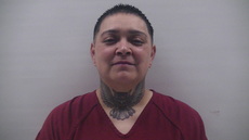Booking photo of Garza Anika Lyssa