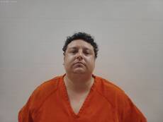 Booking photo of GARZA ROGELIO