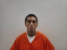 Booking photo of RAMIREZ LUIS ALBERTO