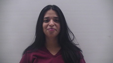 Booking photo of RUIZ CYNTHIA LYNN