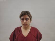 Booking photo of TOVAR STEPHANIE