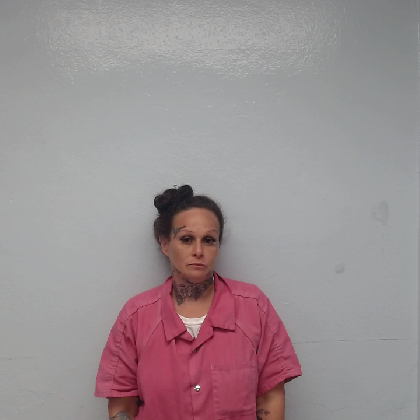 Booking photo of WILLIAMS, JENA LYNN