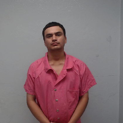 Booking photo of TREVINO, ALFREDO JOSE