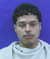 Booking photo of LUIS HERRERA