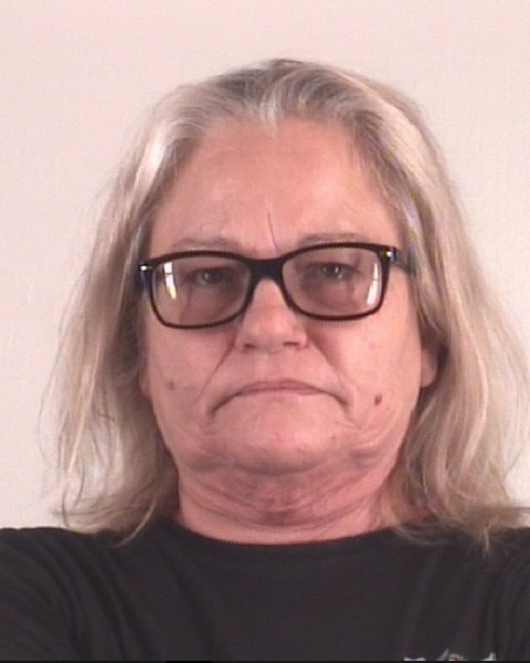 Booking photo of REBECCA WISE