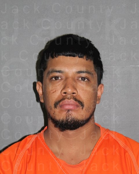 Booking photo of CHAVEZ-GARCIA, GUADALUPE
