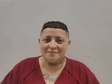 Booking photo of CANALES ASHLEY NICOLE
